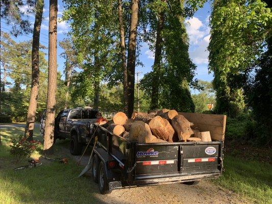 Top To Bottom Tree Service and Landscaping