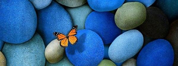 Circle Of Life Massage