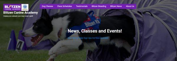 Blitzen Canine Academy Inc