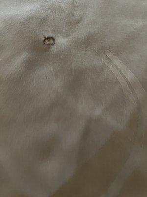 Quality Inn St. Paul-Minneapolis-Midway