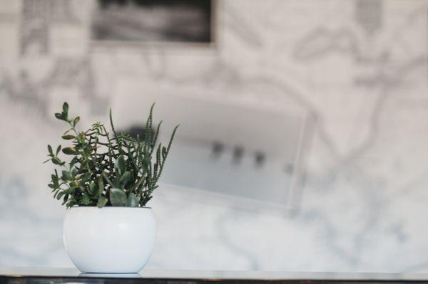 Security Bank & Trust