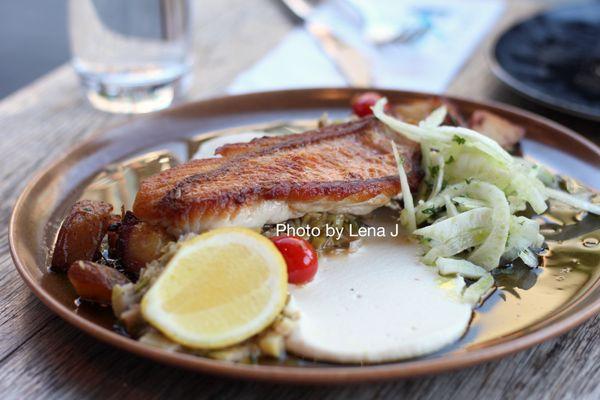 Pan Seared Snapper ($34) - celery root puree, buttered leeks, potato sarladaises, confit tomatoes