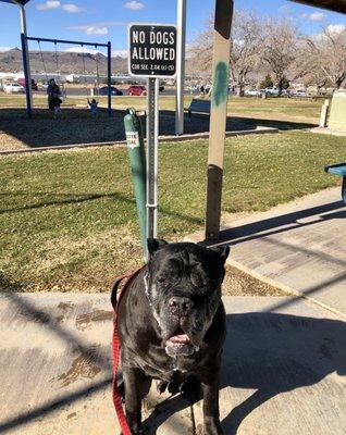 Kingman Parks & Recreation