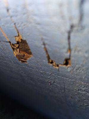 Platinum Pest Control