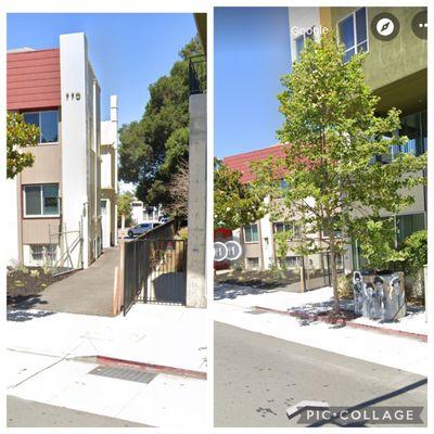 Parking in the rear!