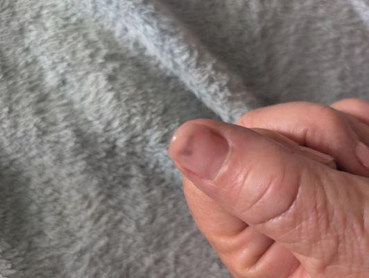 French Tip Nail Salon