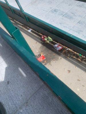 Hamilton Meadow Park School