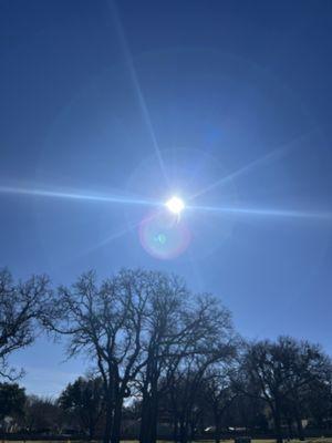 A beautiful at the cemetery