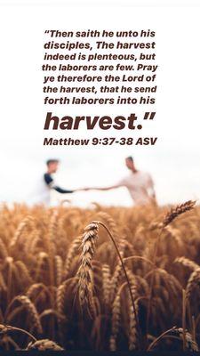Harvest Christian Center Int.