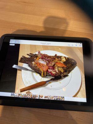 Grilled Tilapia fish