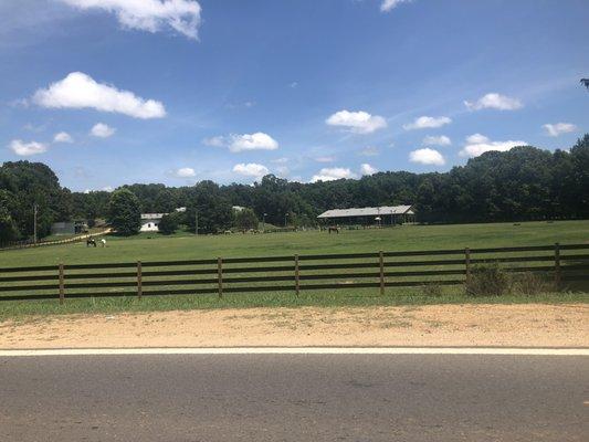 Hillside Stables