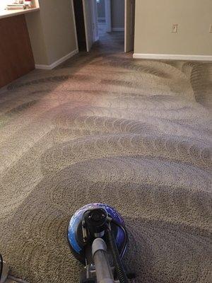H20's Waters Carpet Cleaning