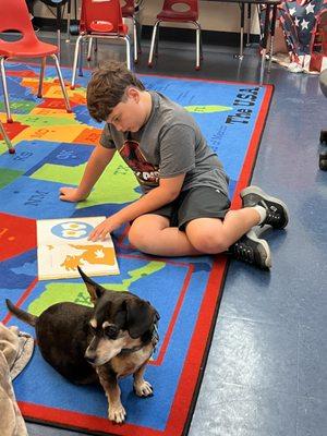 Learning Springs Academy