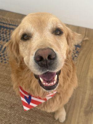 feathers trimmed perfectly for summer swims