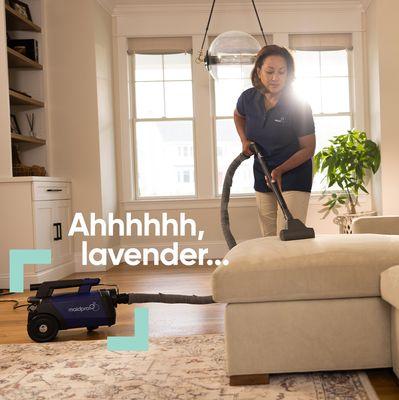 Maidpro leaves your home smelling lavander... all cleaned and sanitized.