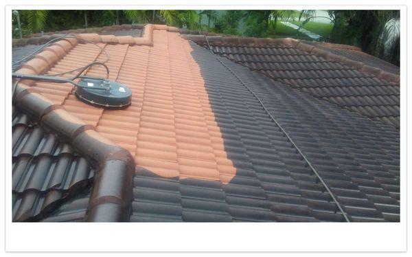 Mak Roof Coating