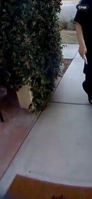 Park Sorrento Apartments by ConAm Management