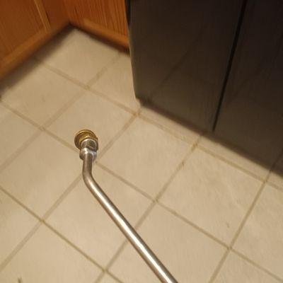 Drea's Pest Control Service