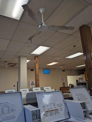 The dirt on the ceiling fan