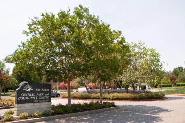 New Image Landscape Company Tree Care