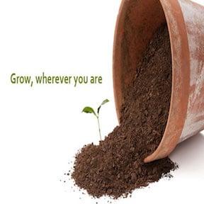 Sprout Family Clinics