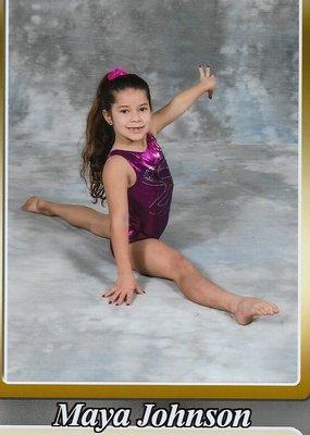 North Shore Center For Artistic Gymnastics