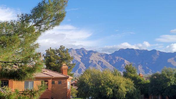 This is the view I wake up to each day!