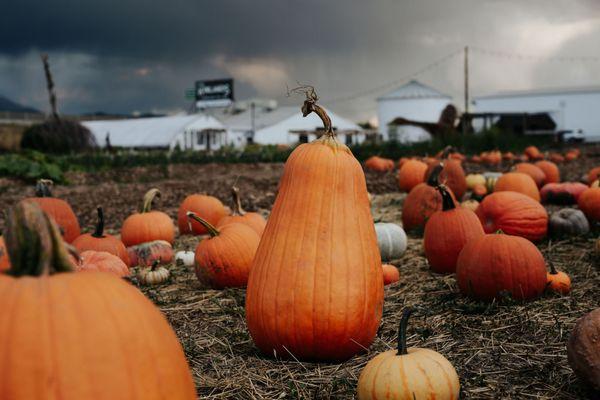 The Patch is full and waiting for you.