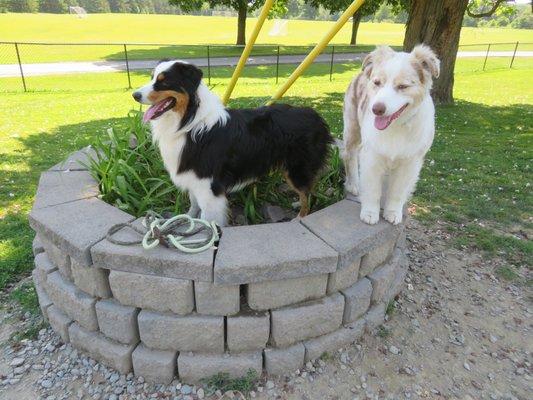 STONE MEADOW KENNEL
