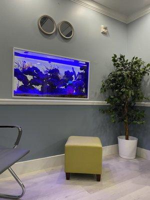 United Dental Specialists