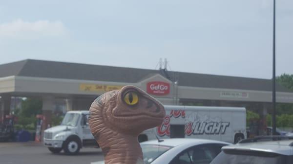 Bob the Raptor Says "Mammals come here to get gas."