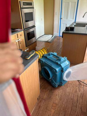 Keeping containment structures maintain spores from traveling to unaffected areas