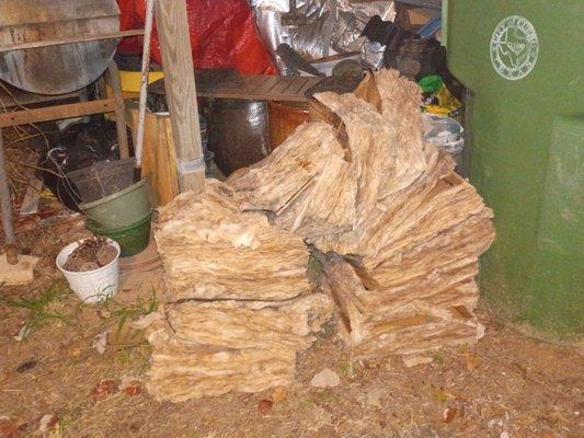 Habitat For Humanity Victoria Chapter