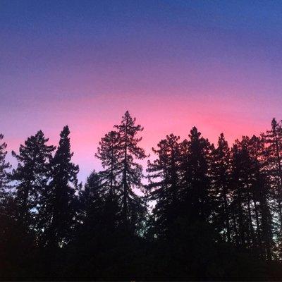 Sunset views from our second floor dining room