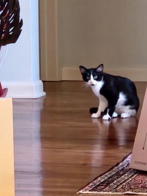 North Hills Veterinary Hospital