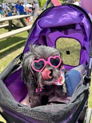 Paradise Animal Hospital