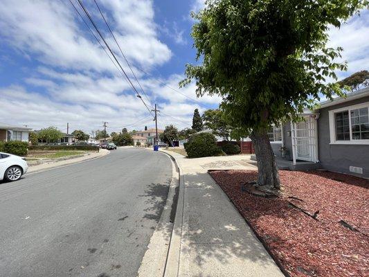 Chinese Evangelical Church