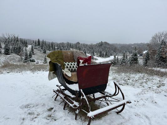 Larson Holiday Farm