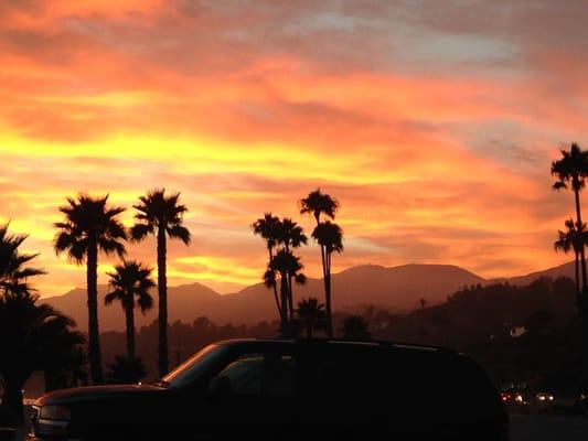 Los Angeles Therapy Network - Cynthia Henrie, LMFT