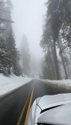 Sequoia CPAS, A.P.C.