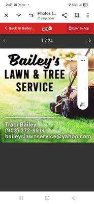 Baileys Lawn And Tree Service
