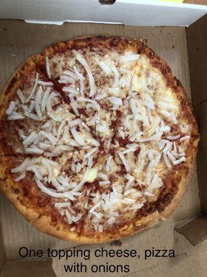 Cheese pizza with onions
