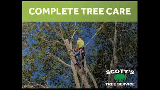 Scott's Tree Service