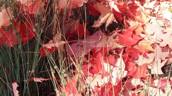 North Creek Business Park