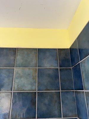 MVC Professional Cleaning