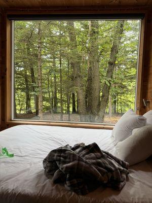 Window view from a 1 bedroom cabin