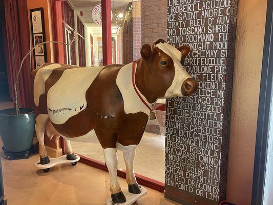 June 5, 2025 - Mascot cow on wheels.