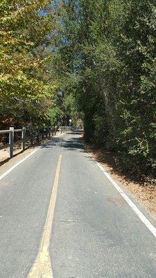 Foster Park 5k 10k & Half Marathon