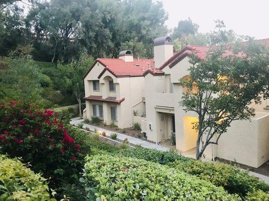 Neema Novini - Aspero Realty