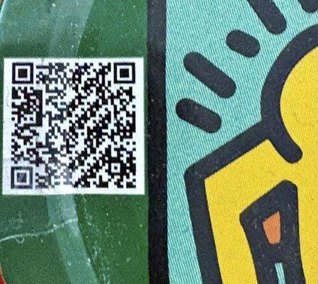 Best Buddies International